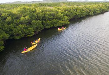 Kayak Tour in Vieques Puerto Rico